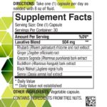 Distribuidor 🚀 Distributor Phytolax - Imagen 4