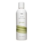 Distribuidor 🚀 Distributor Shampoo