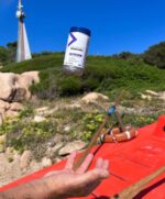 Distribuidor 🚀 Distributor Metabolite - Imagen 2